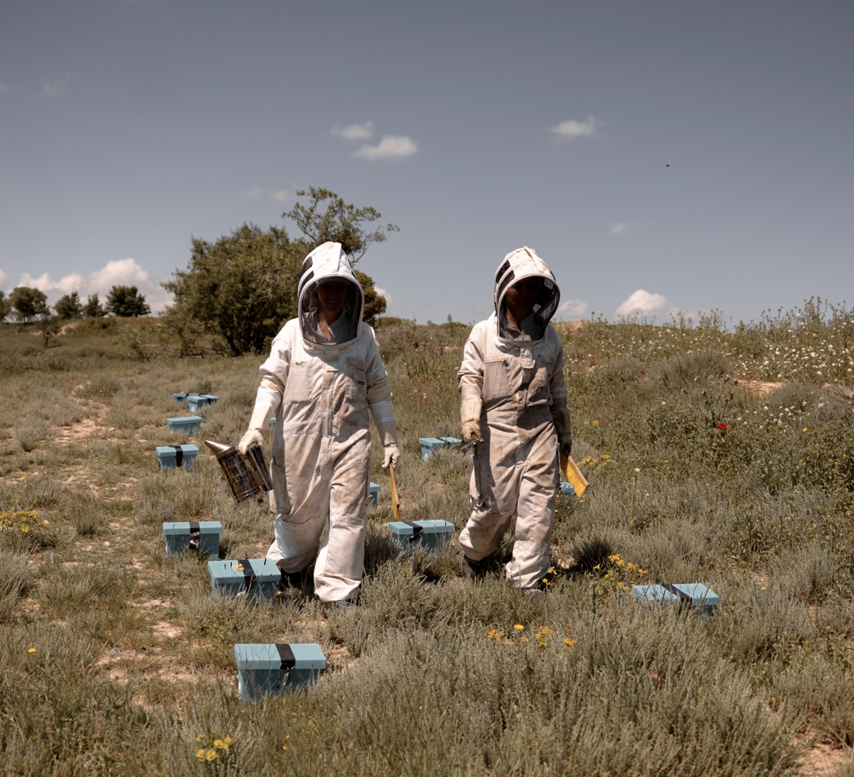 Abejas del Moncayo recibe el premio Proyecto Bardos 2025
