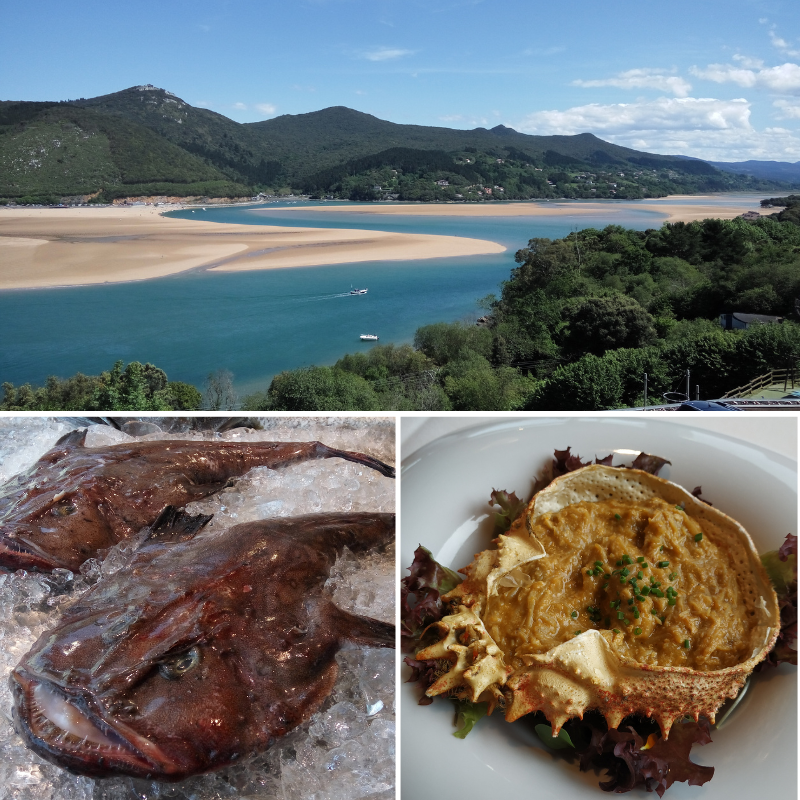 Restaurantes de Vizcaya: en la costa. Portuondo