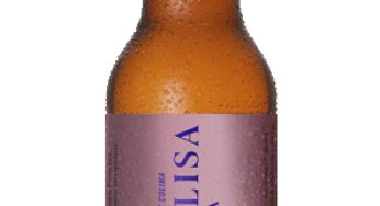 Colima Piedra Lisa, la cerveza mexicana del volcán