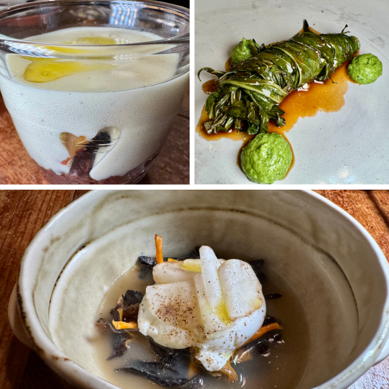 La Sosenga (Barcelona) 