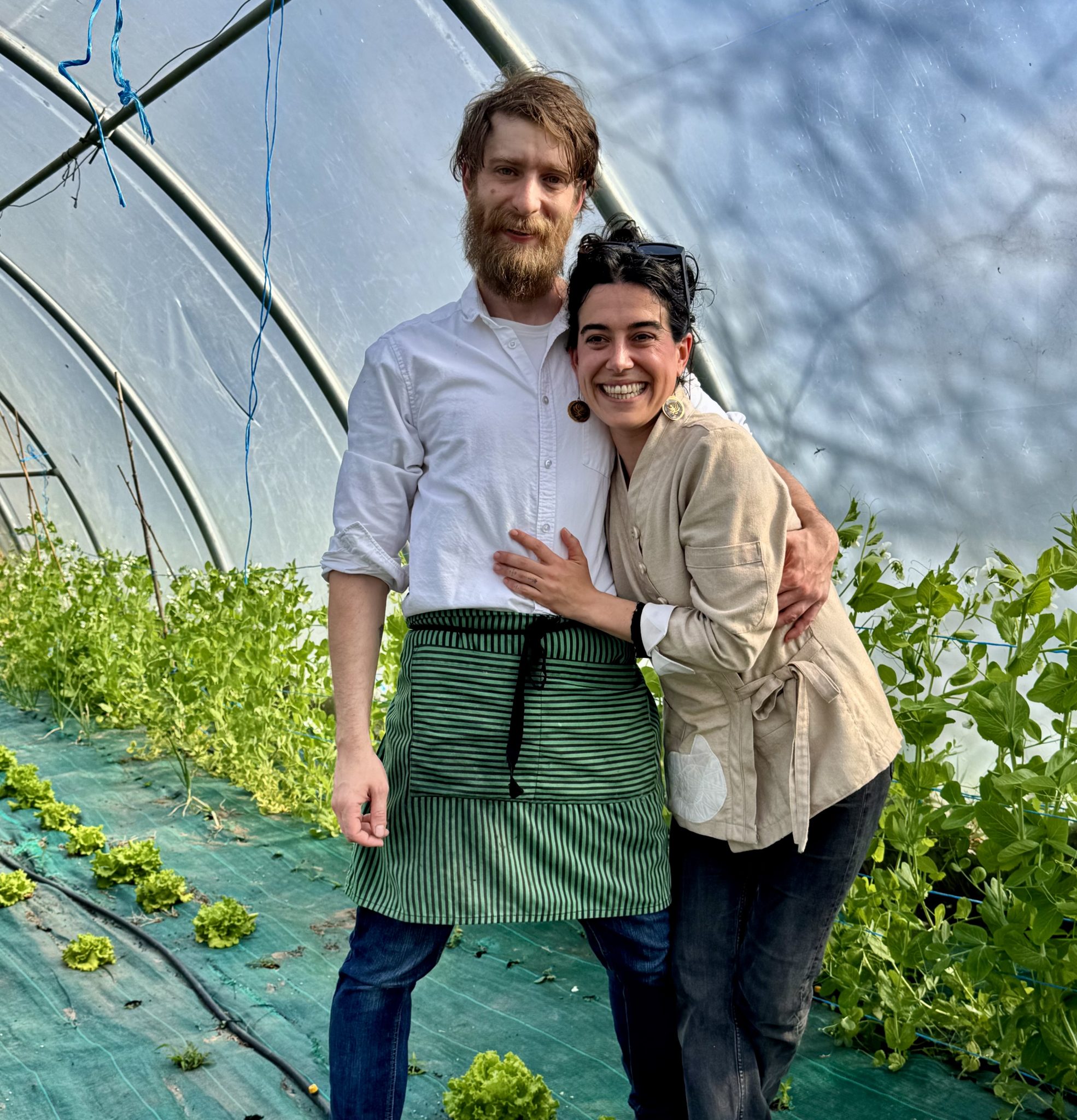 Cocinero Revelación 2026