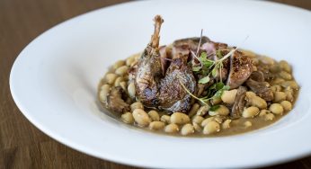 Pochas con codornices engrasadas en maíz