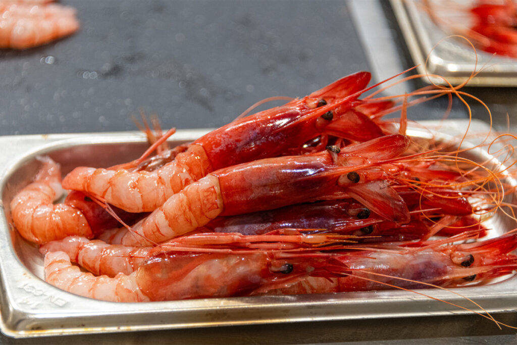 Gamba roja de Dénia