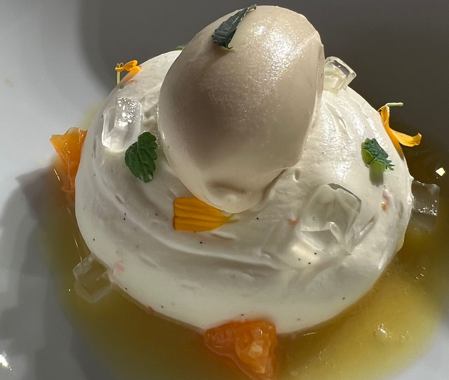 Cocinero Revelación 2026