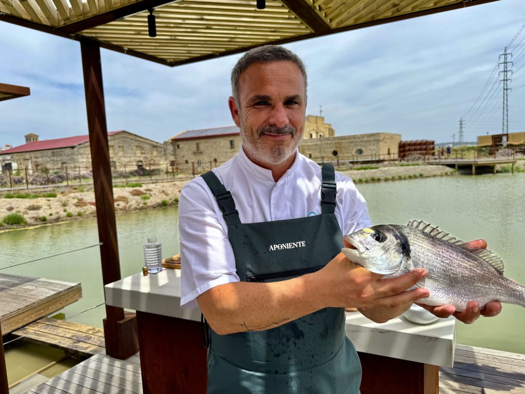 Aponiente