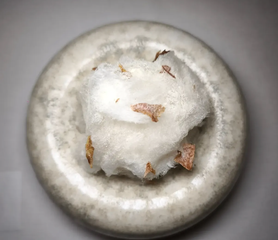 gastronomía canaria