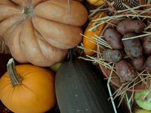 otoño