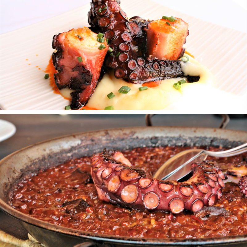 pulpo